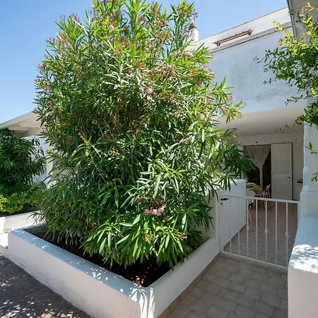 Calce Bianca Apulia Monopoli